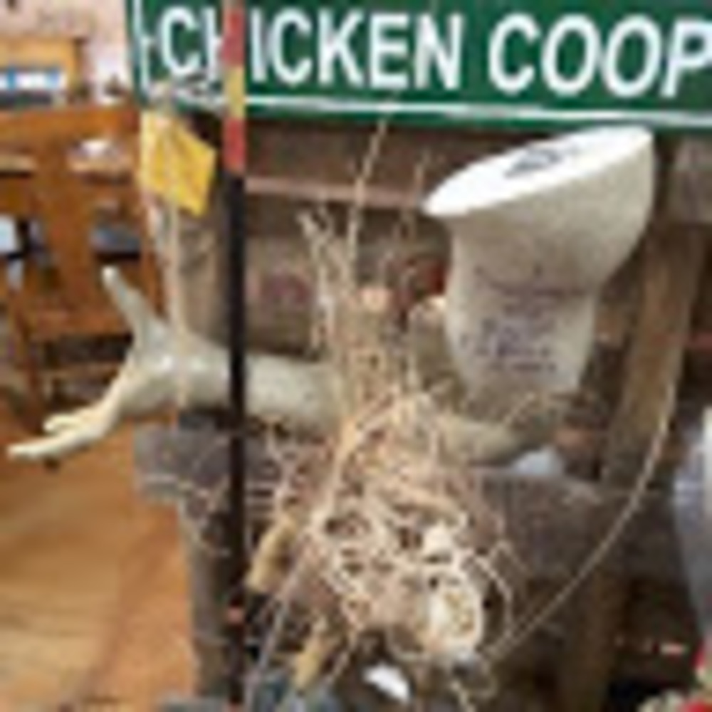 Meet your Posher, Eve